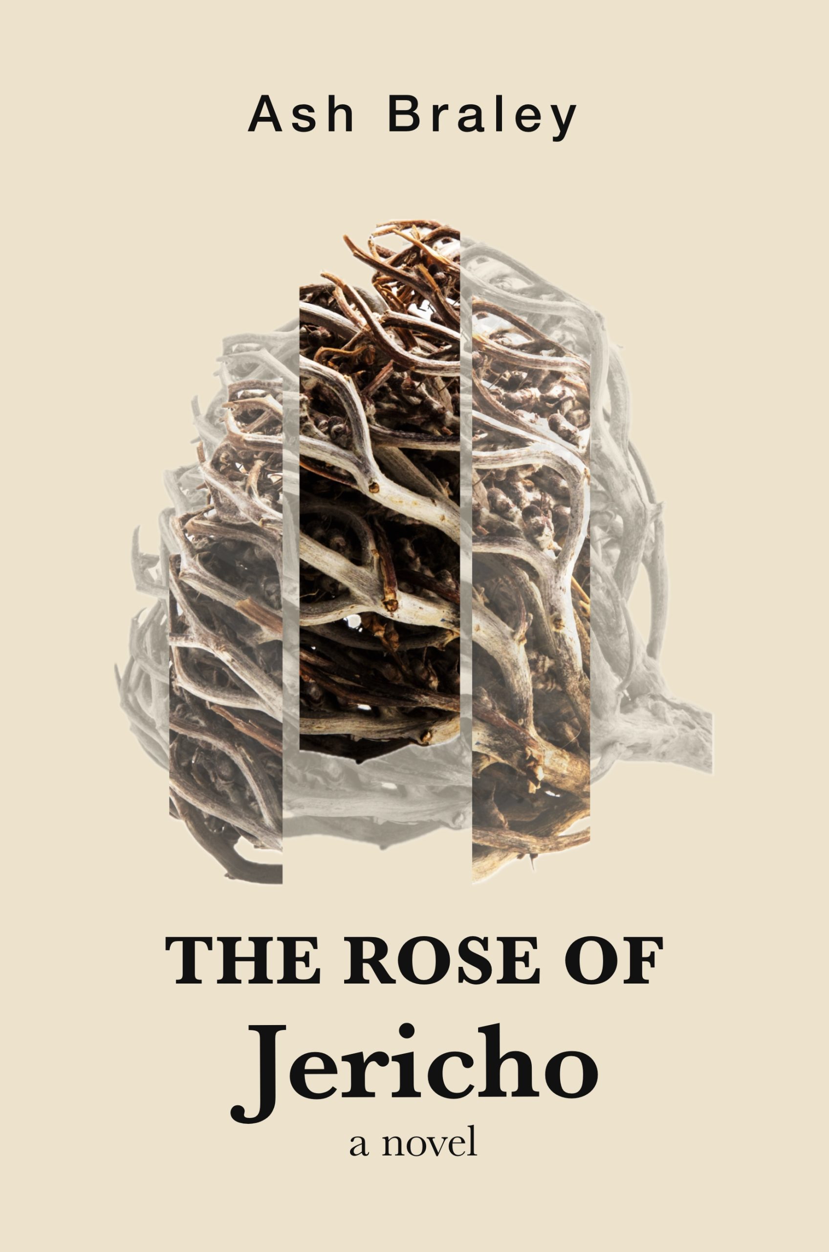 LOCKED The_Rose_Of_Jericho_Final_2026-04-14